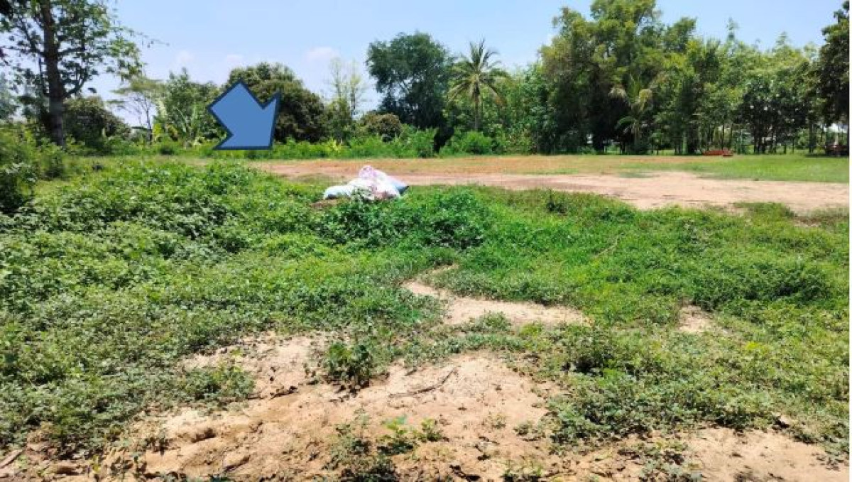 ที่ดินเปล่า อุดรธานี ศรีธาตุ หนองนกเขียน 285500