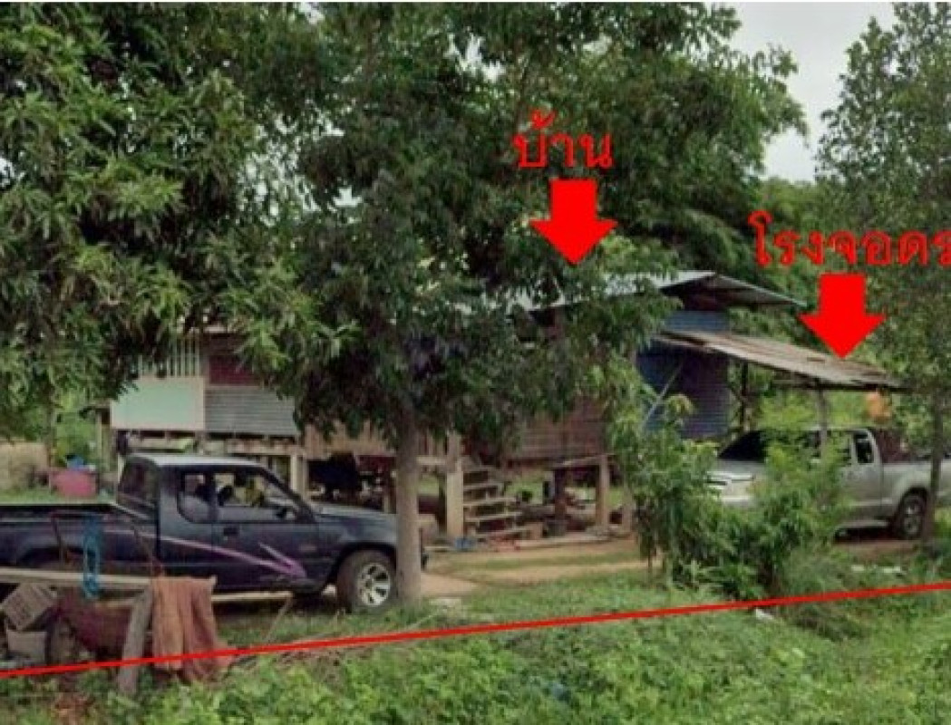 บ้านเดี่ยว พิษณุโลก พรหมพิราม ดงประคำ 307740
