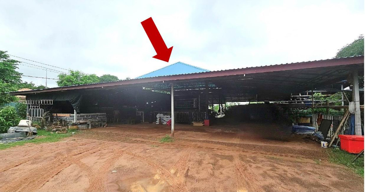บ้านเดี่ยว อำนาจเจริญ ลืออำนาจ แมด 980415