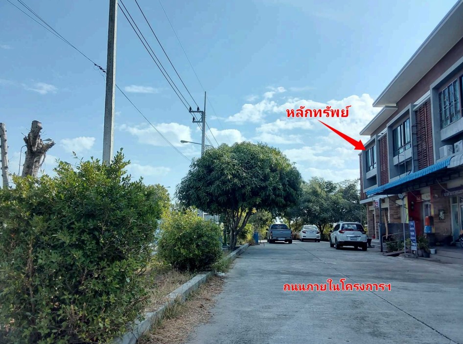 อาคารพาณิชย์ นครราชสีมา โนนสูง โนนสูง 3640000