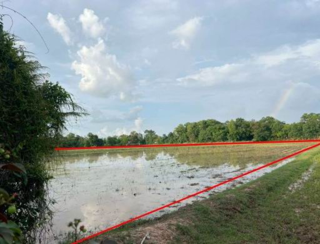 Residential land/lot Roi Et Kaset Wisai Mueang Bua 714740