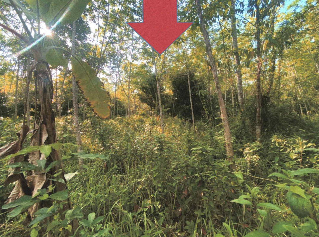 Residential land/lot Pattani Sai Buri Manang Dalam 214425