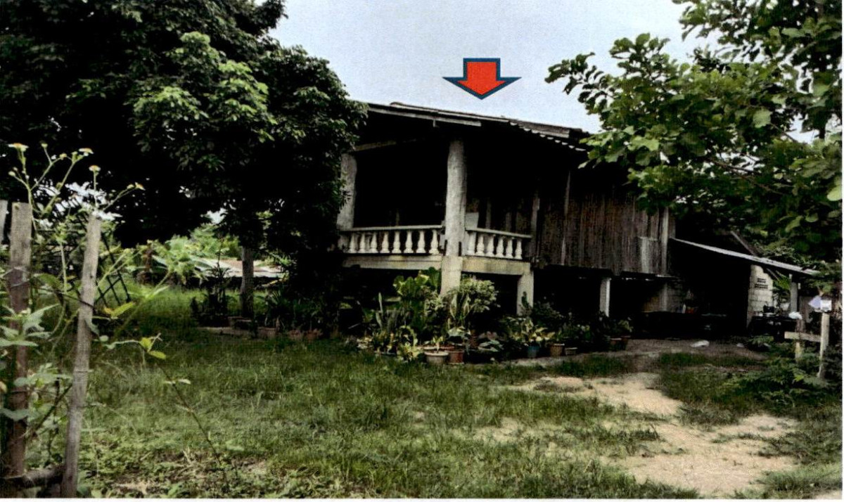 บ้านเดี่ยว ลำปาง ห้างฉัตร เวียงตาล 339945