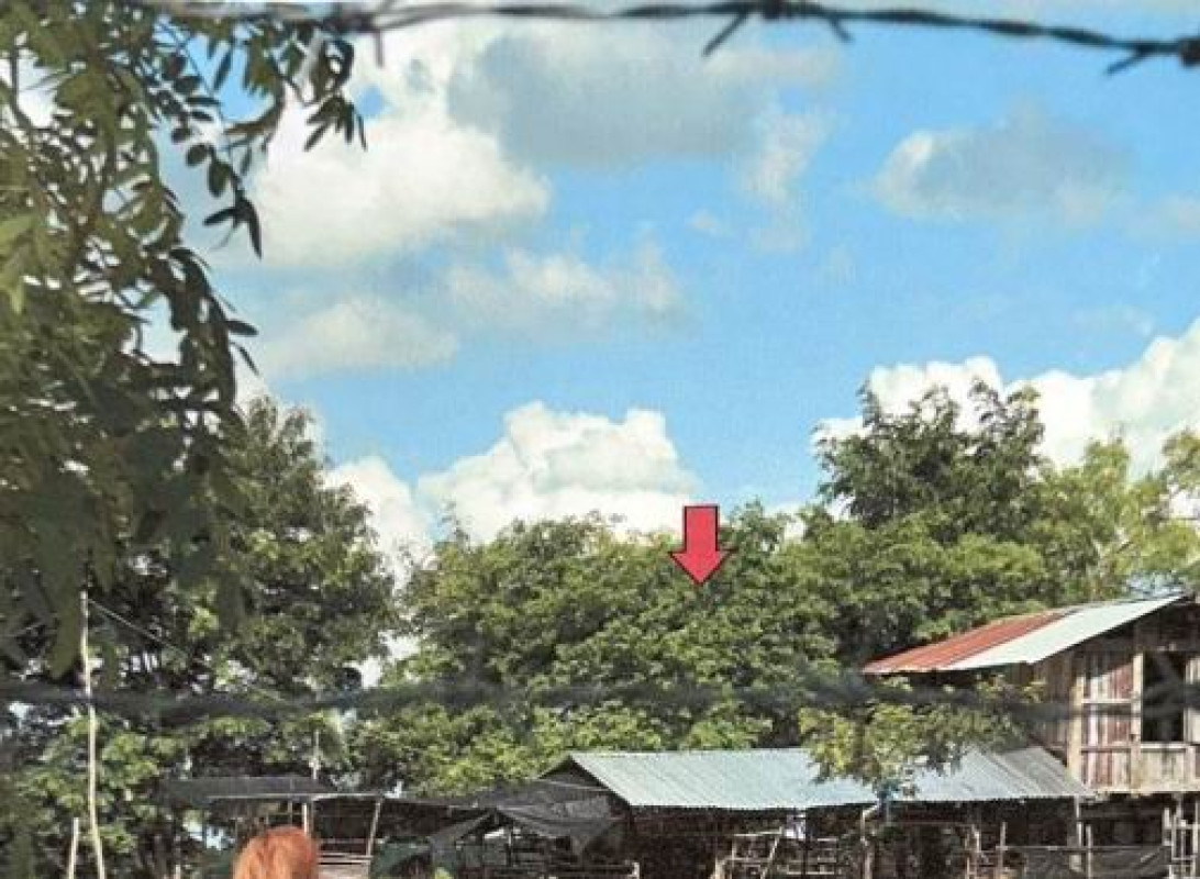 บ้านเดี่ยว ร้อยเอ็ด ปทุมรัตต์ โนนสวรรค์ 96210