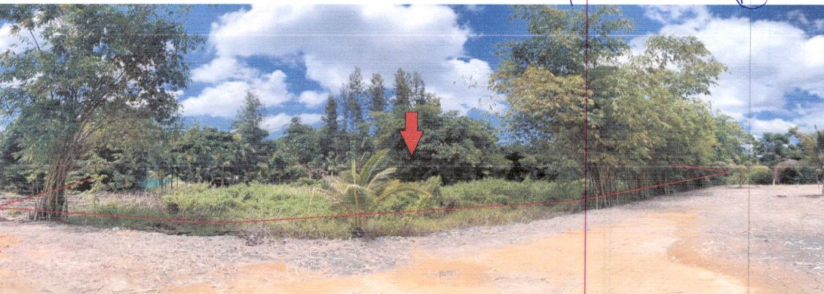 ที่ดินเปล่า สุราษฎร์ธานี เมืองสุราษฎร์ธานี วัดประดู่ 391600