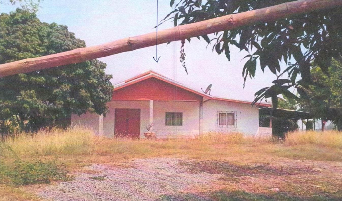 บ้านเดี่ยว ขอนแก่น หนองนาคำ กุดธาตุ 901091
