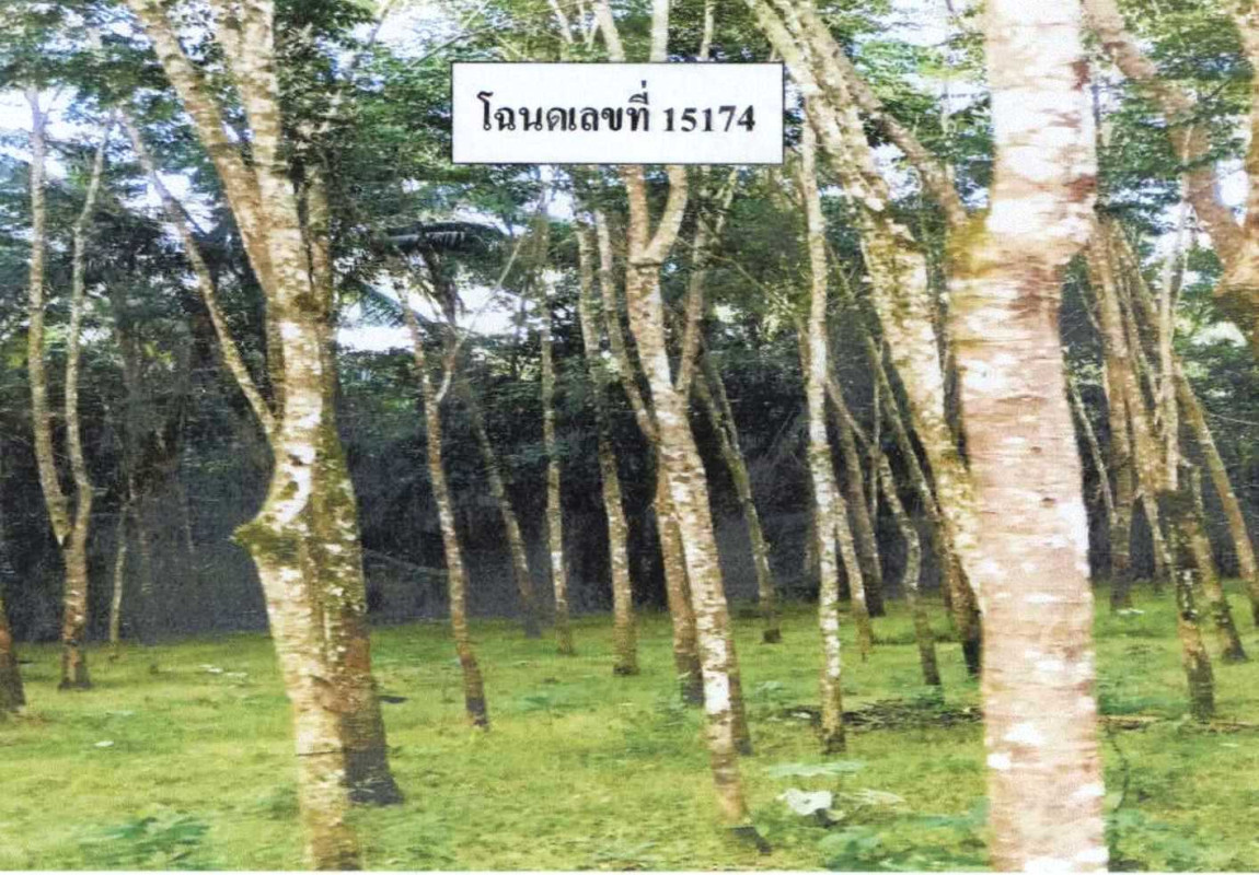 Residential land/lot Pattani Sai Buri Tabing 48702