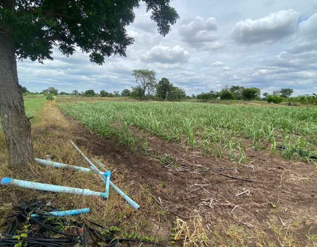 ที่ดินเปล่า นครราชสีมา ด่านขุนทด บ้านแปรง 197160