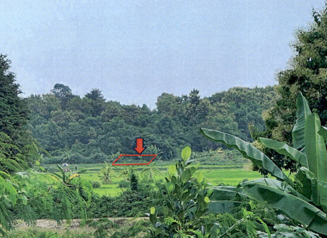 ที่ดินเปล่า ลำปาง แม่ทะ ดอนไฟ 78600