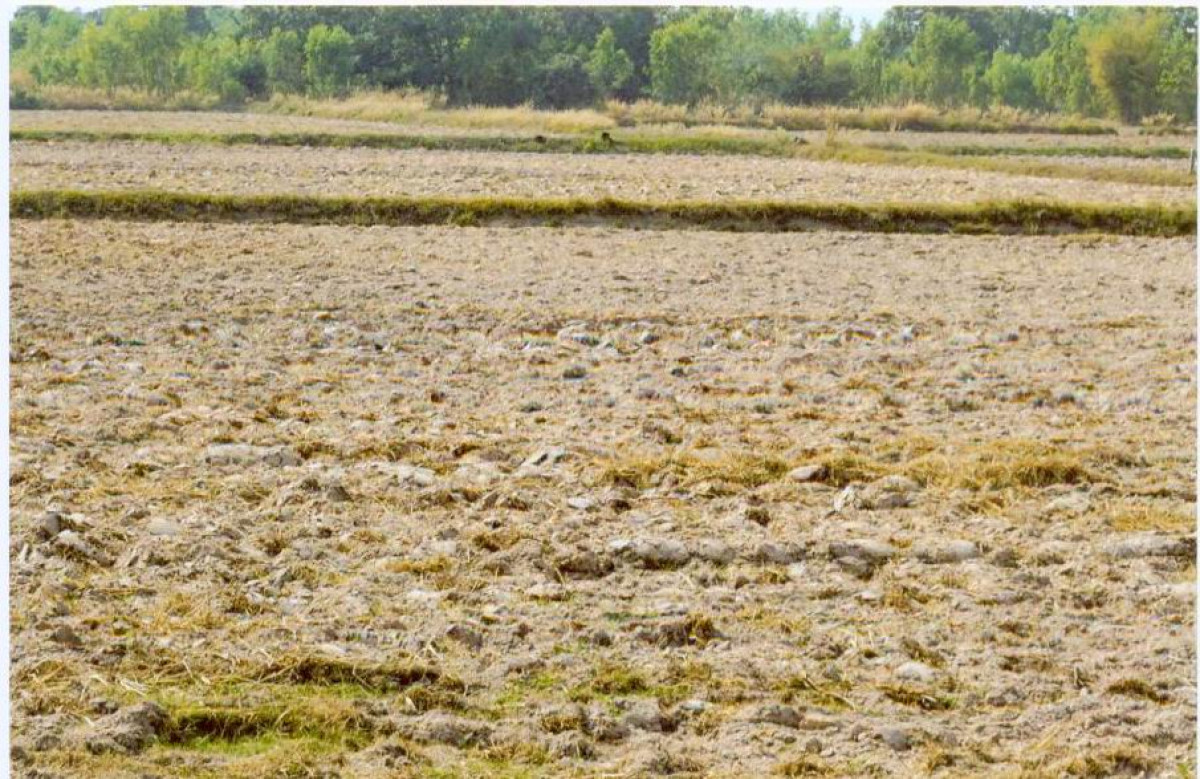 ที่ดินเปล่า ร้อยเอ็ด อาจสามารถ โพนเมือง 244000