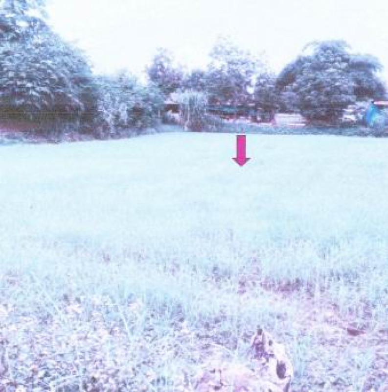 ที่ดินเปล่า ร้อยเอ็ด อาจสามารถ หนองบัว 39780