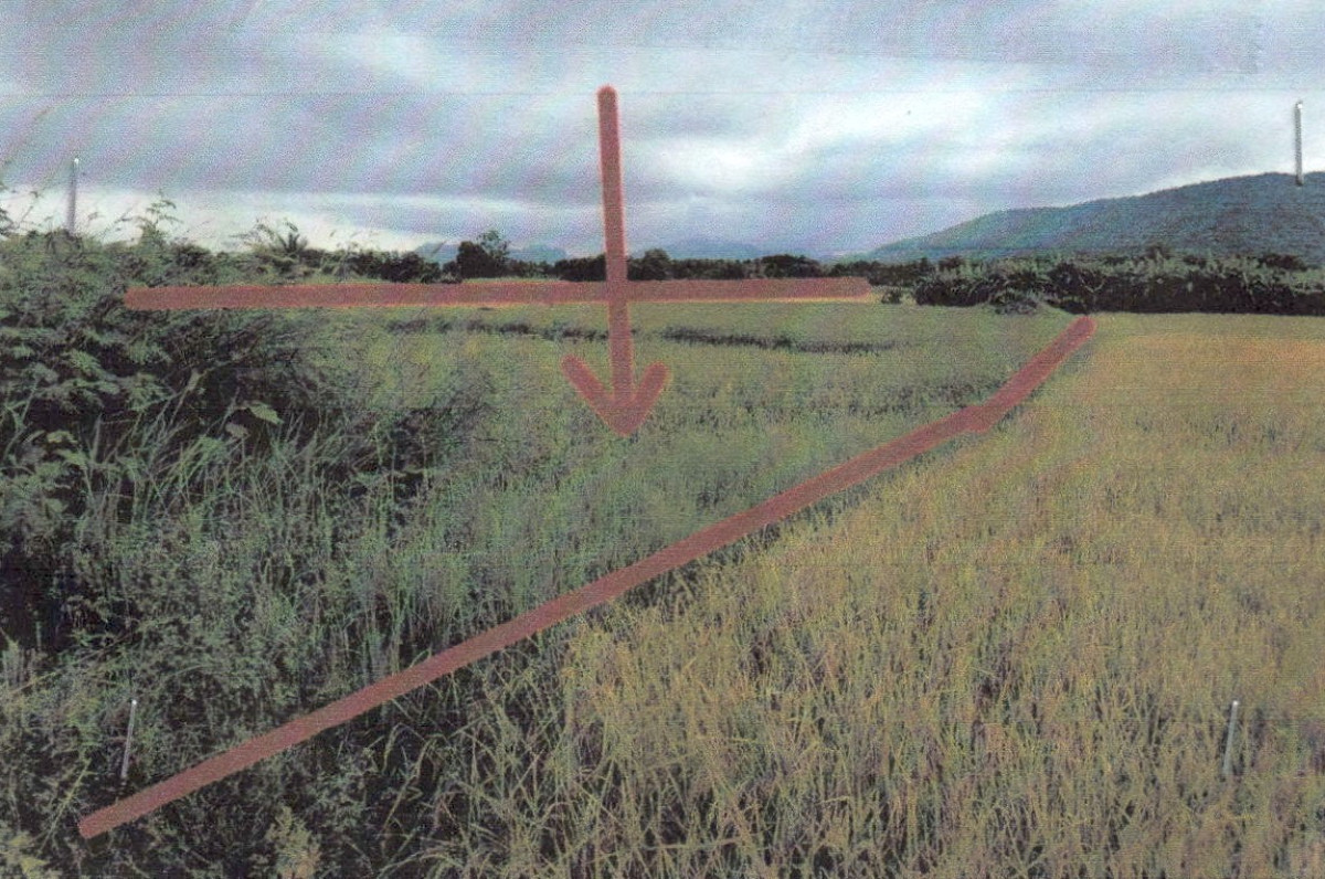 ที่ดินเปล่า เลย ภูหลวง ภูหอ 213200