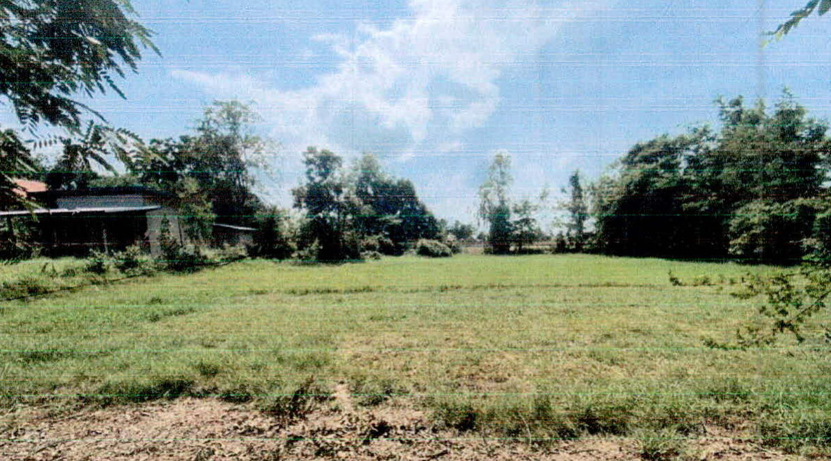 บ้านเดี่ยว ศรีสะเกษ เมืองศรีสะเกษ หนองไฮ 456600