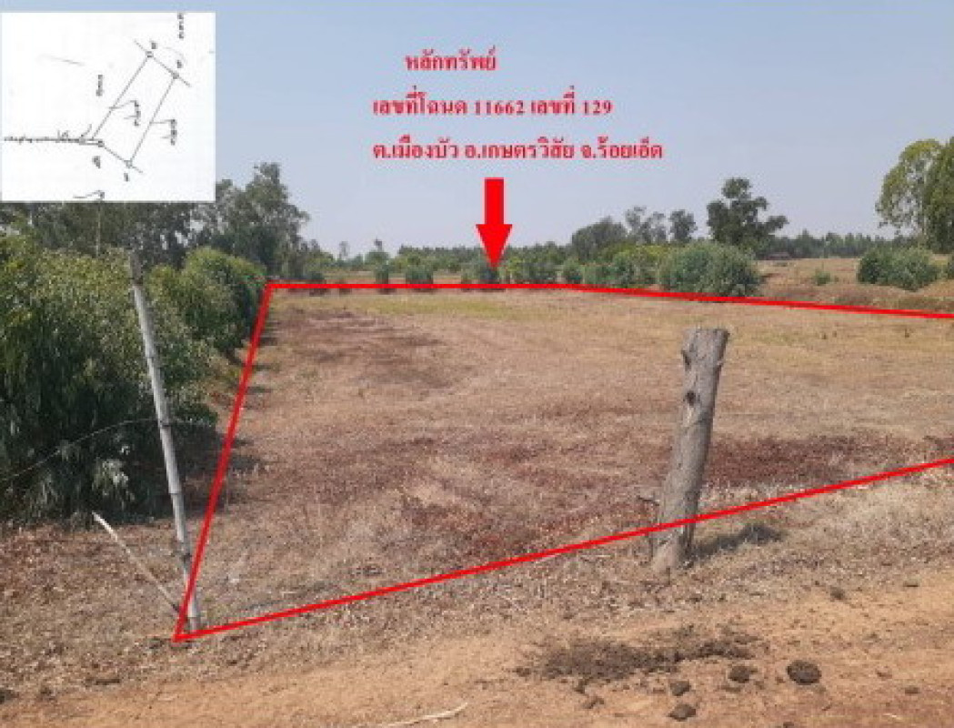 ที่ดินเปล่า ร้อยเอ็ด เกษตรวิสัย เมืองบัว 587600