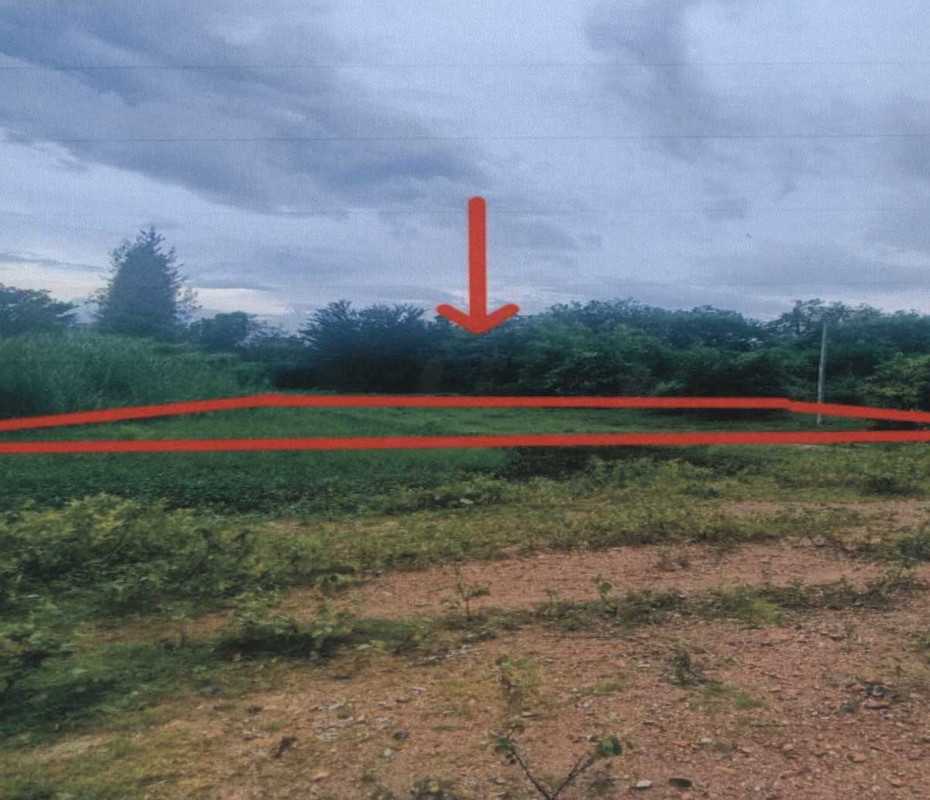 ที่ดินเปล่า เพชรบุรี ท่ายาง กลัดหลวง 40000