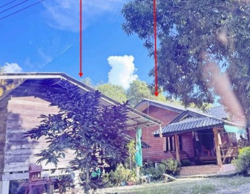 บ้านเดี่ยว เชียงใหม่ แม่อาย แม่นาวาง 269742