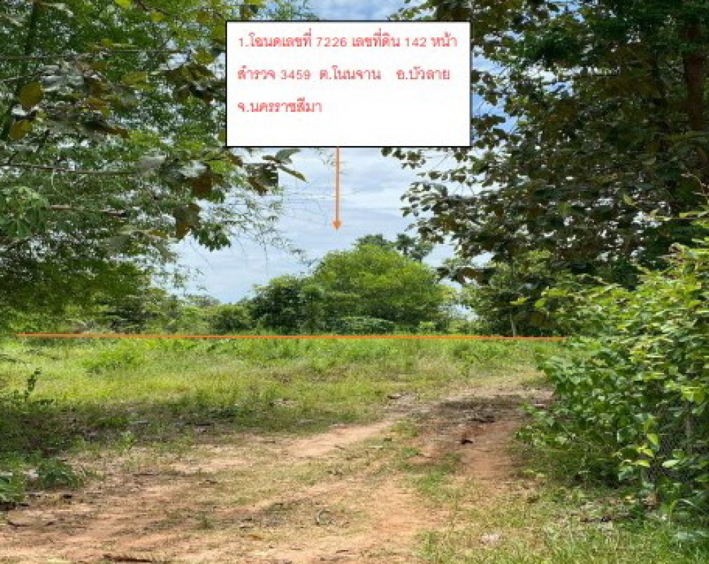 ที่ดินเปล่า นครราชสีมา บัวลาย โนนจาน 168000