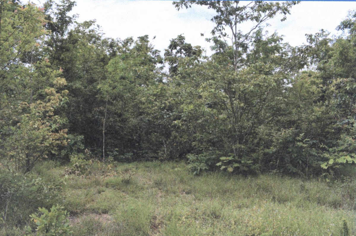 Residential land/lot Lampang Ko Kha Na Kaeo 240000