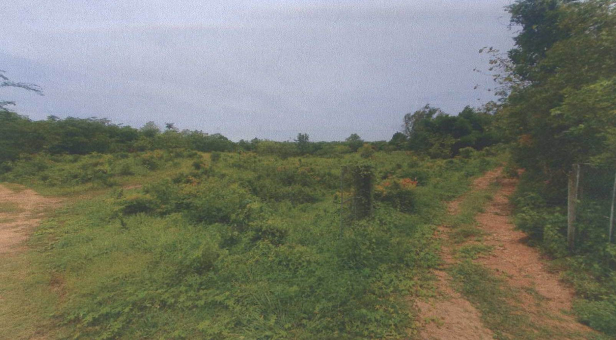 Residential land/lot Uttaradit Tha Pla Ruam Chit 308980