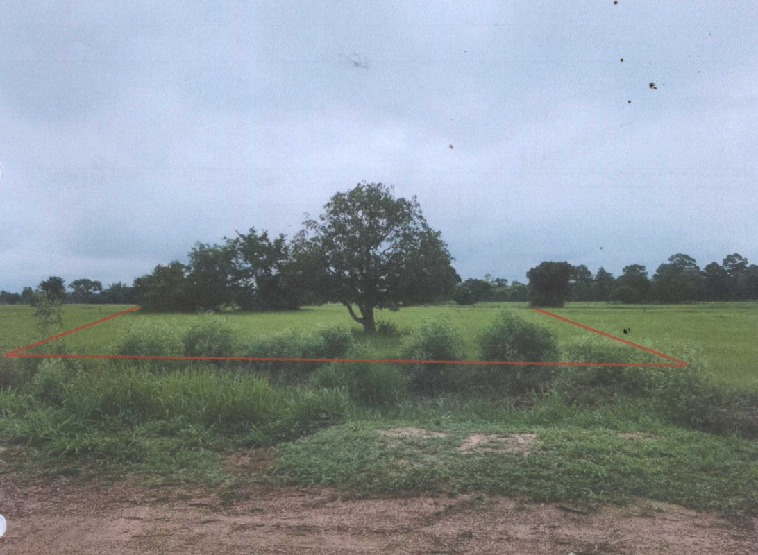 Residential land/lot Yasothon Maha Chana Chai Phue Hi 387850