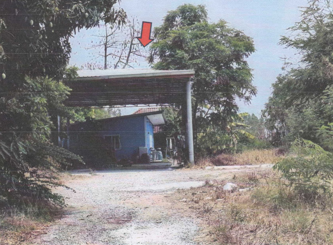 บ้านเดี่ยว นครสวรรค์ ลาดยาว หนองนมวัว 554400