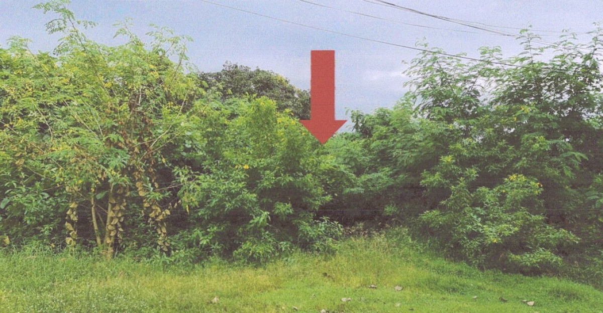 Residential land/lot Nakhon Nayok Mueang Nakhon Nayok Nakhon Nayok 757500