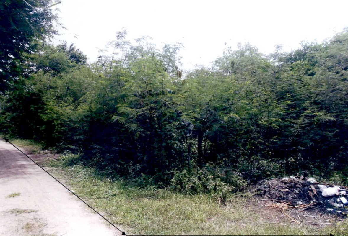 Residential land/lot Nakhon Ratchasima Pak Chong Chan Thuek 120000