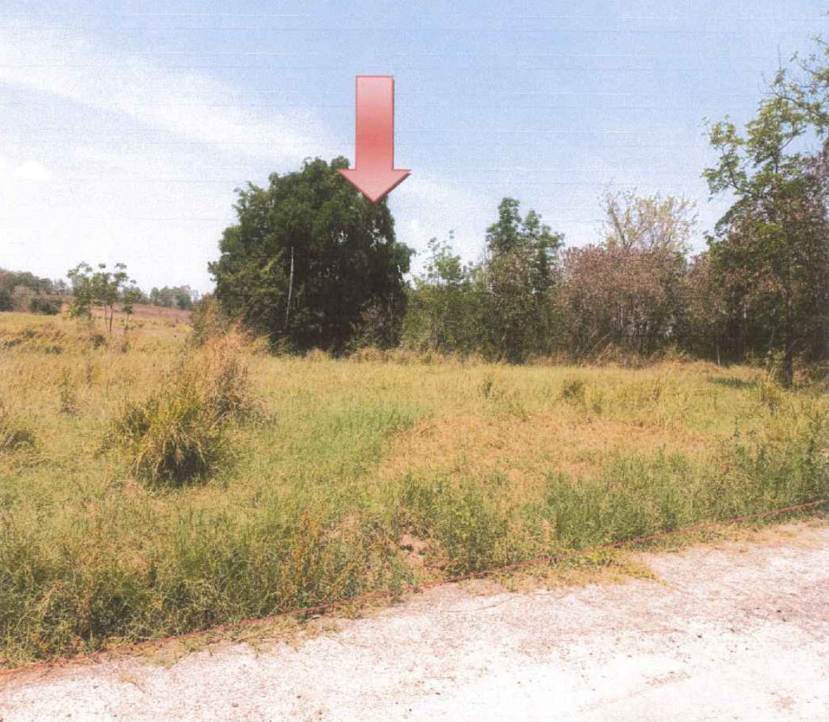 Residential land/lot Nakhon Ratchasima Sung Noen Makluea Kao 268200