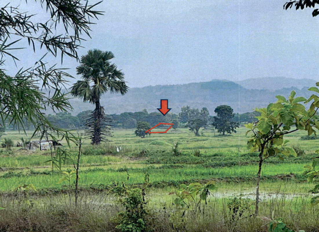 Residential land/lot Lampang Mae Tha Don Fai 114600