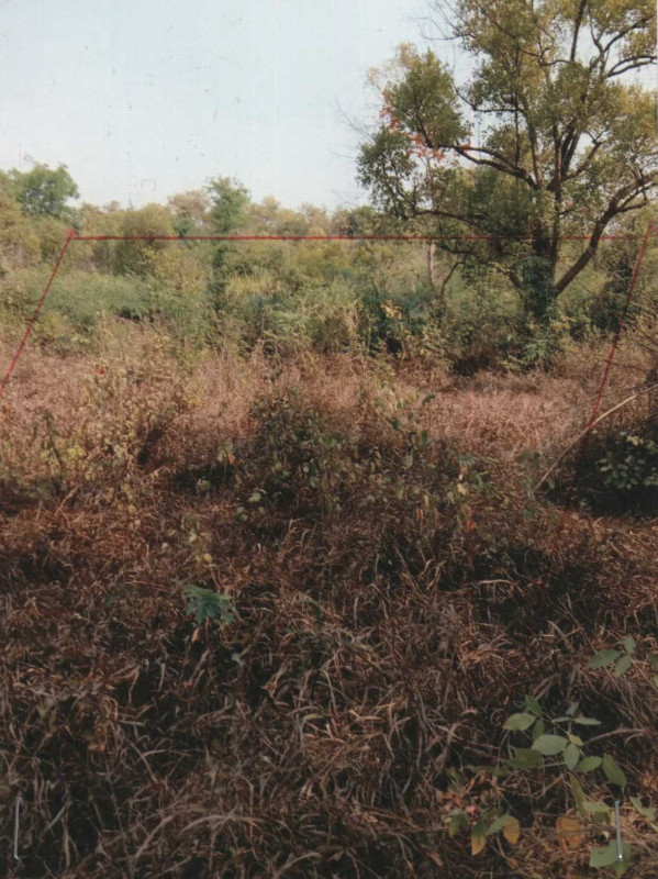 Residential land/lot Si Sa Ket Kanthararom Nong Waeng 97700