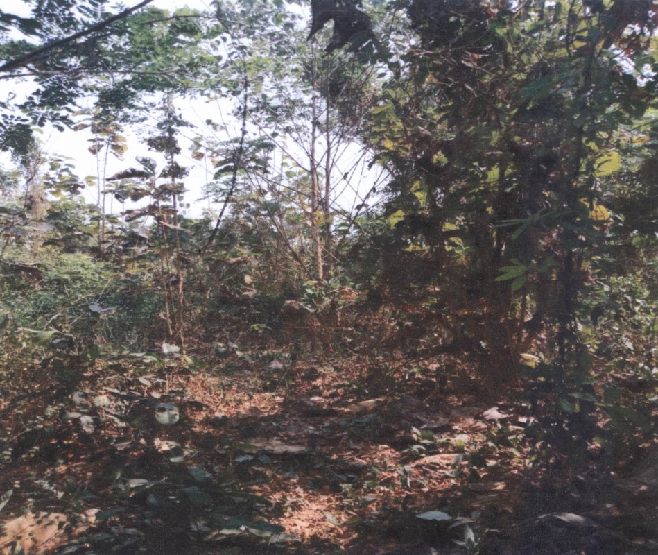 Residential land/lot Phrae Mueang Phrae Wang Hong 409800