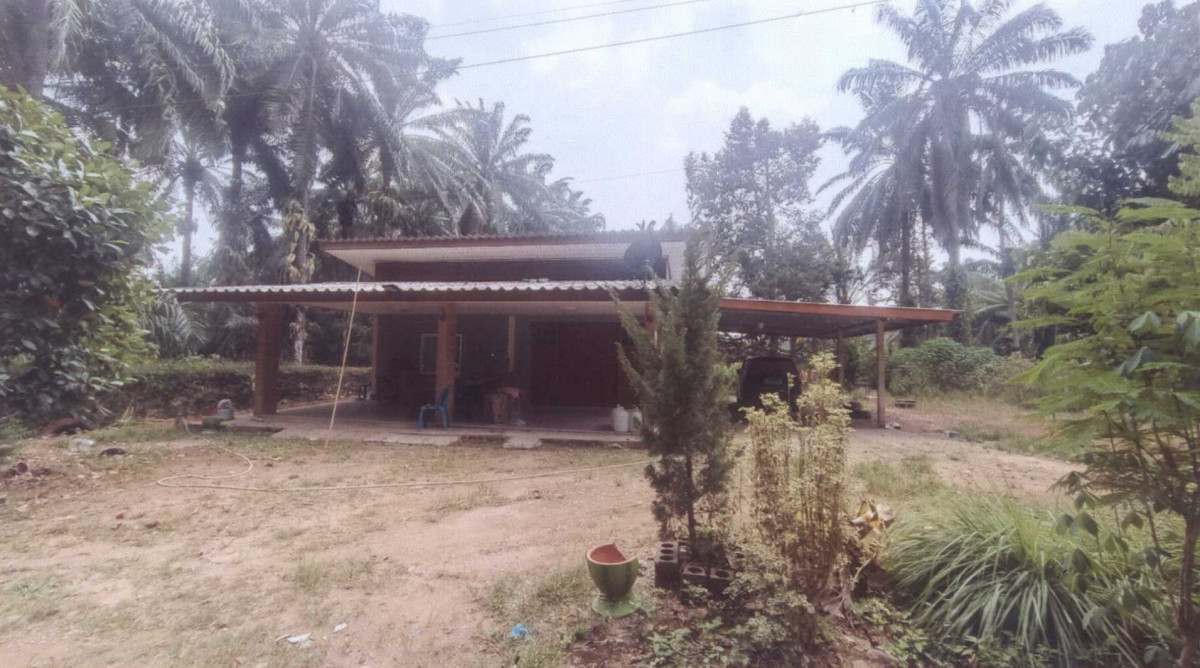 บ้านเดี่ยว ชุมพร ท่าแซะ หงษ์เจริญ 485055