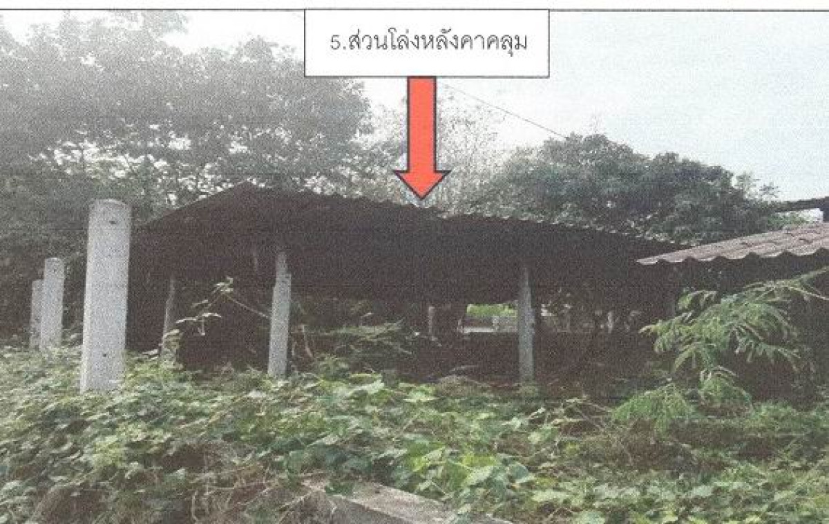 บ้านเดี่ยว อ่างทอง เมืองอ่างทอง ป่างิ้ว 567476