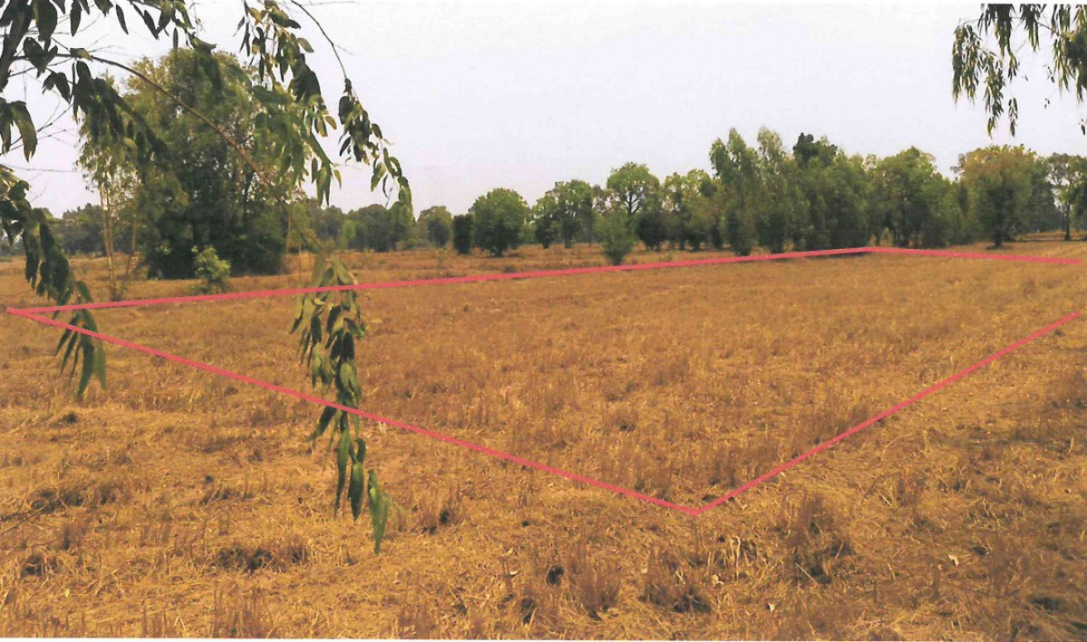 ที่ดินเปล่า ร้อยเอ็ด พนมไพร แสนสุข 134700