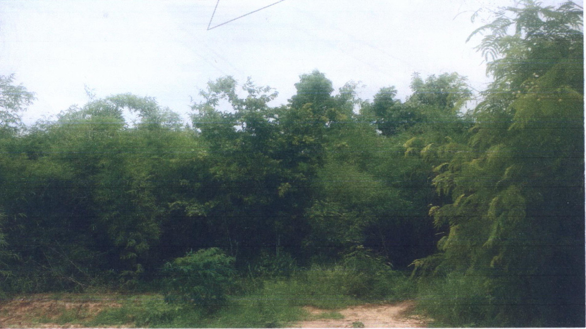 ที่ดินเปล่า ลำปาง ห้างฉัตร ห้างฉัตร 120000