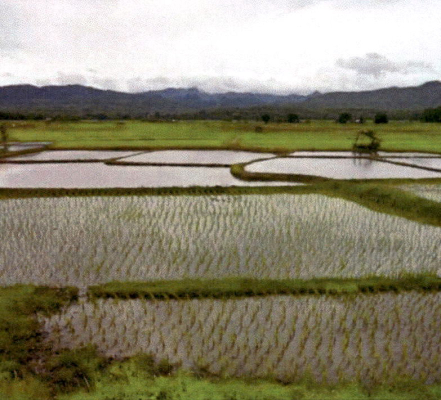 ที่ดินเปล่า แพร่ สูงเม่น หัวฝาย 233400