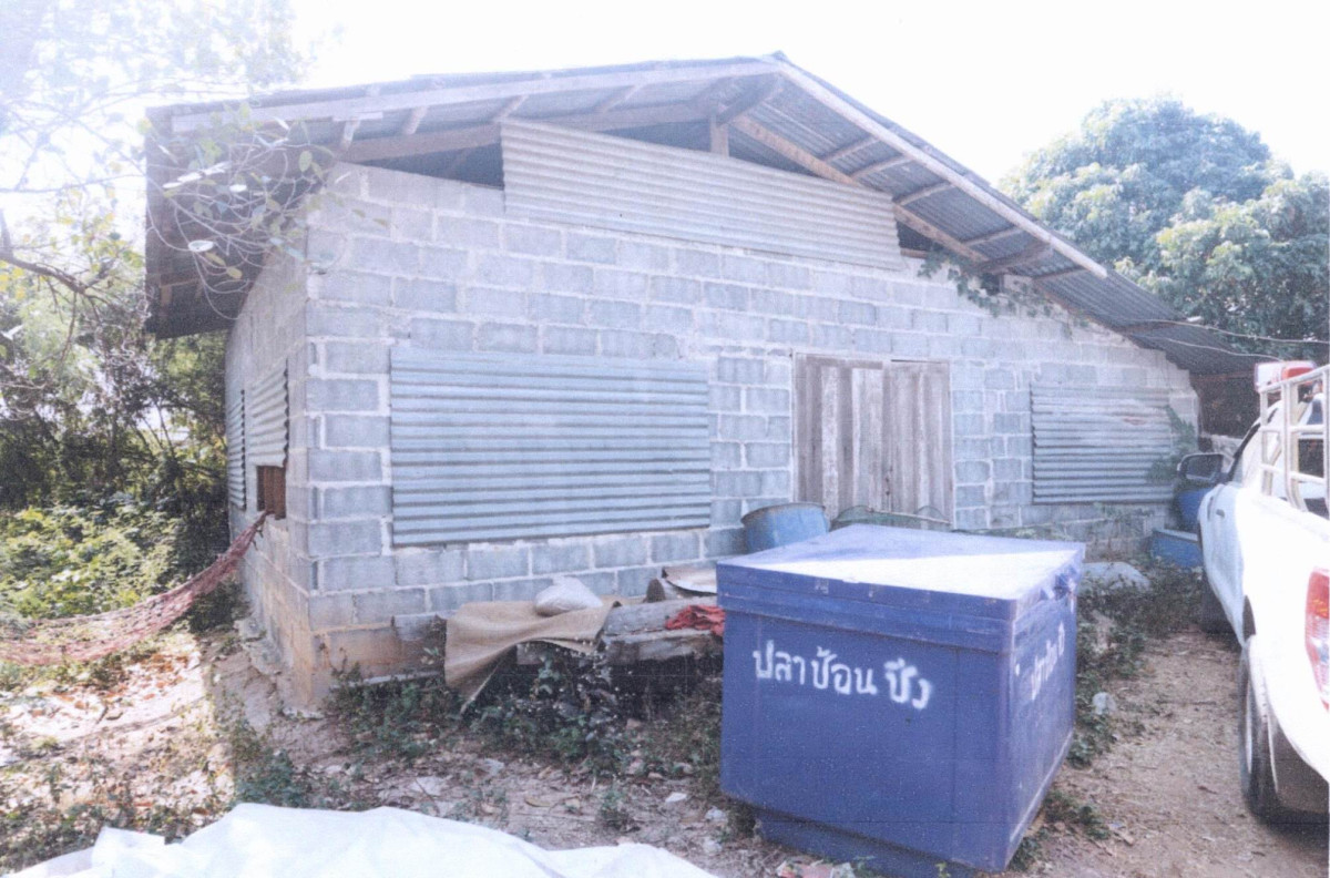 บ้านเดี่ยว ชัยภูมิ คอนสวรรค์ โนนสะอาด 97700