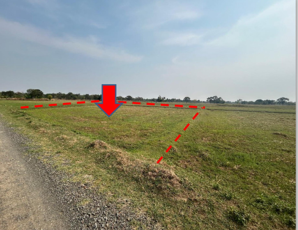 ที่ดินเปล่า มหาสารคาม พยัคฆภูมิพิสัย ก้ามปู 174250