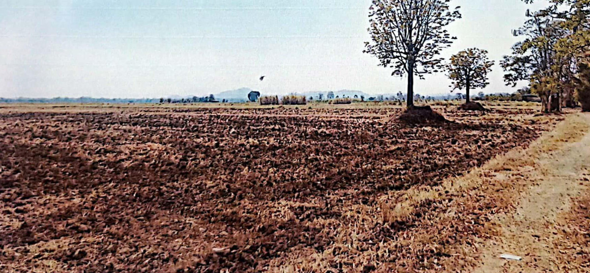 Residential land/lot Phetchabun Nong Phai Na Chaliang 715950