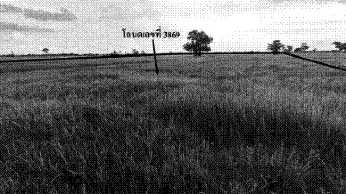 ที่ดินเปล่า ลพบุรี ลำสนธิ กุดตาเพชร 148170