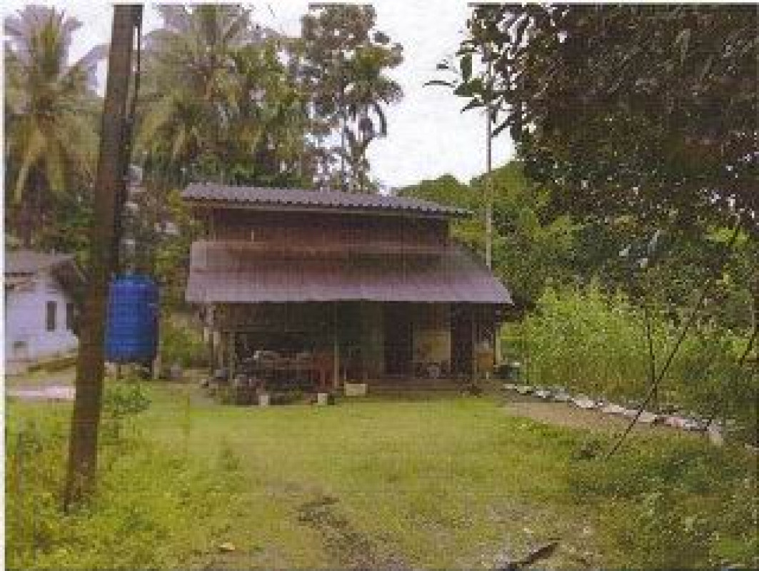 บ้านเดี่ยว ตรัง ย่านตาขาว โพรงจระเข้ 691650