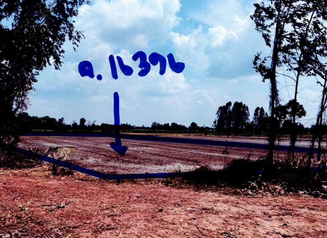 ที่ดินเปล่า สุโขทัย คีรีมาศ หนองจิก 304785