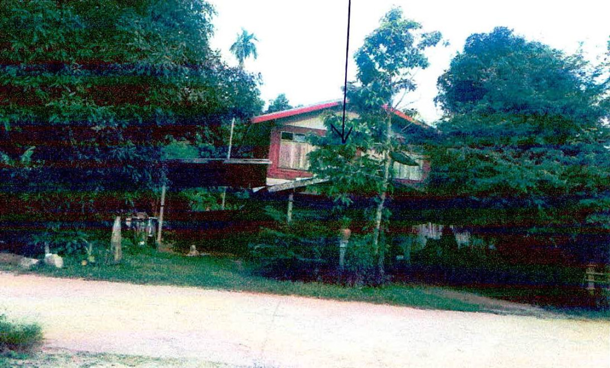 บ้านเดี่ยว เลย เมืองเลย นาแขม 421740