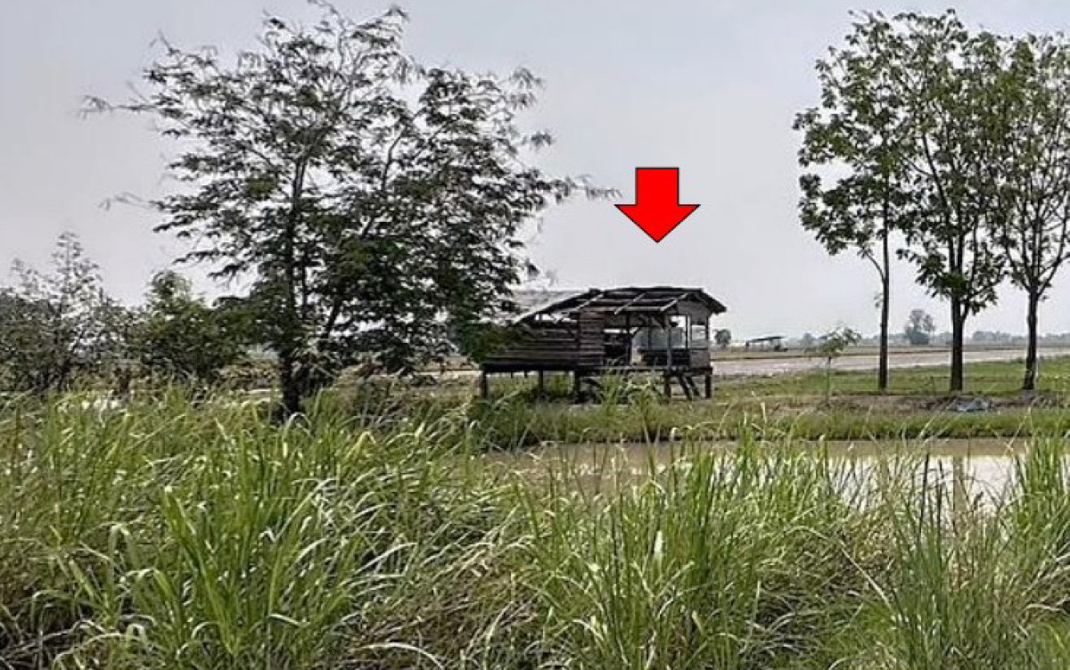 บ้านเดี่ยว พิษณุโลก บางระกำ ชุมแสงสงคราม 1109560