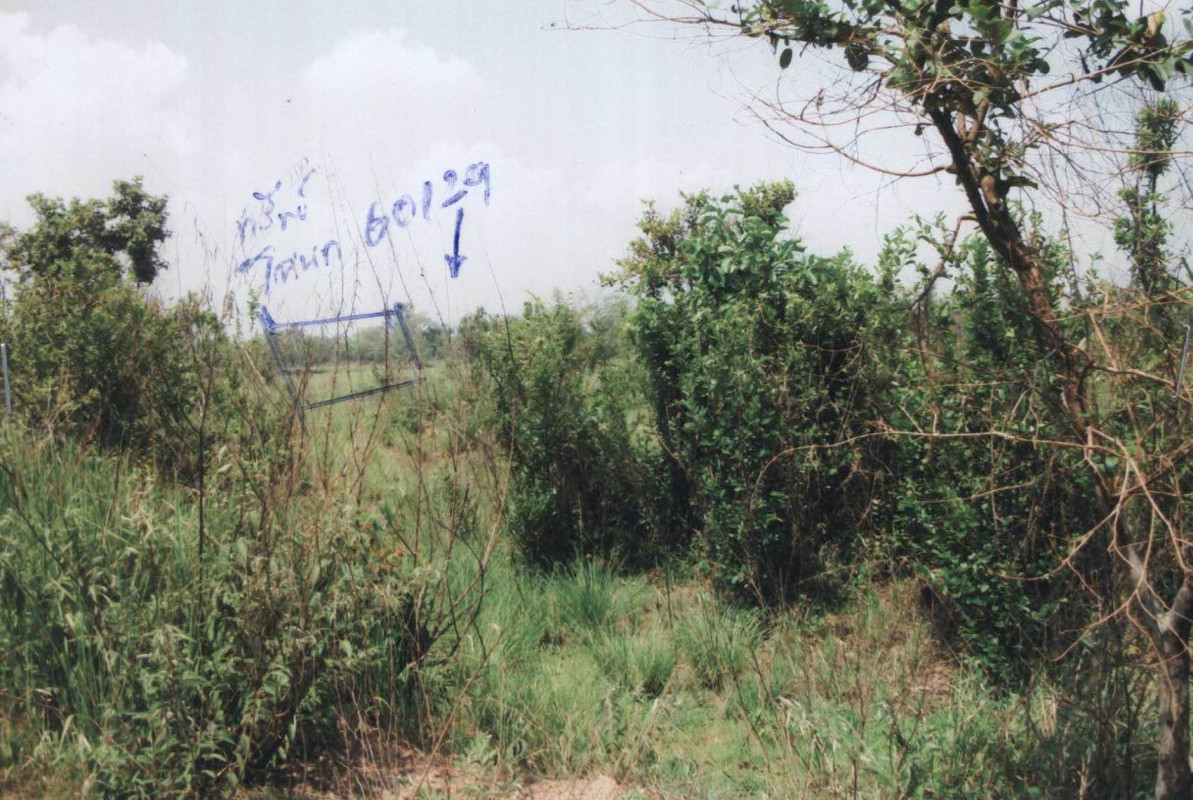 Residential land/lot Prachin Buri Kabin Buri Mueang Kao 152250