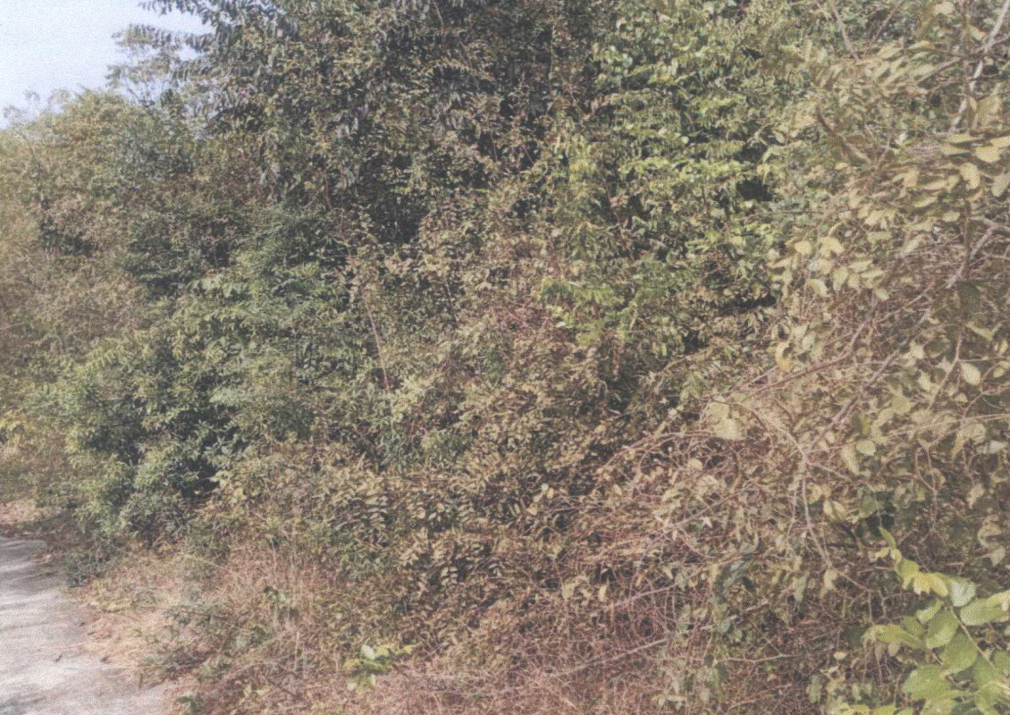 ที่ดินเปล่า นครสวรรค์ ตาคลี ตาคลี 30720