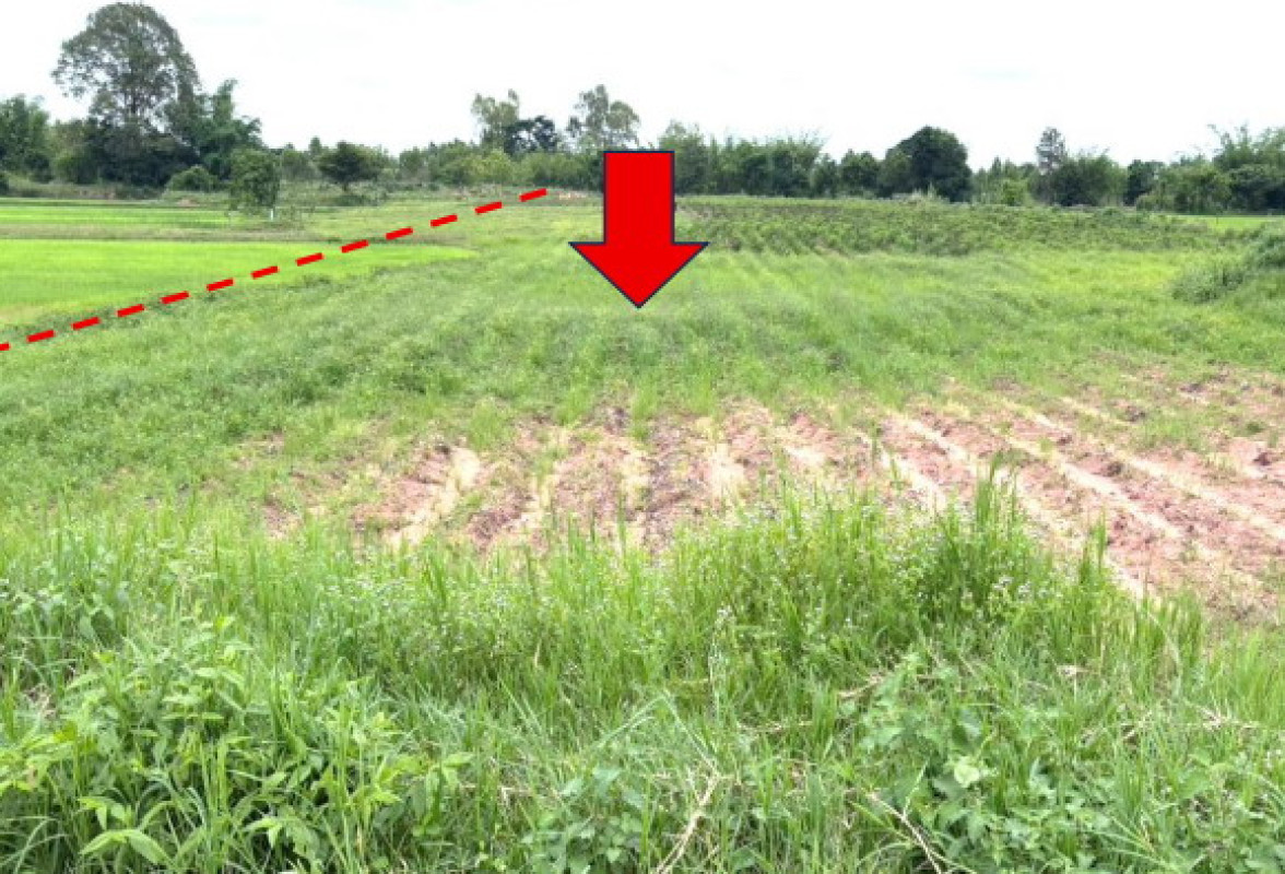 ที่ดินเปล่า มหาสารคาม โกสุมพิสัย เขวาไร่ 354000