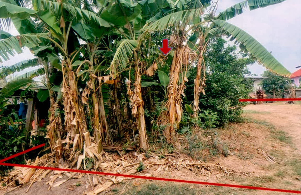 Residential land/lot Si Sa Ket Si Rattana Khup 97680