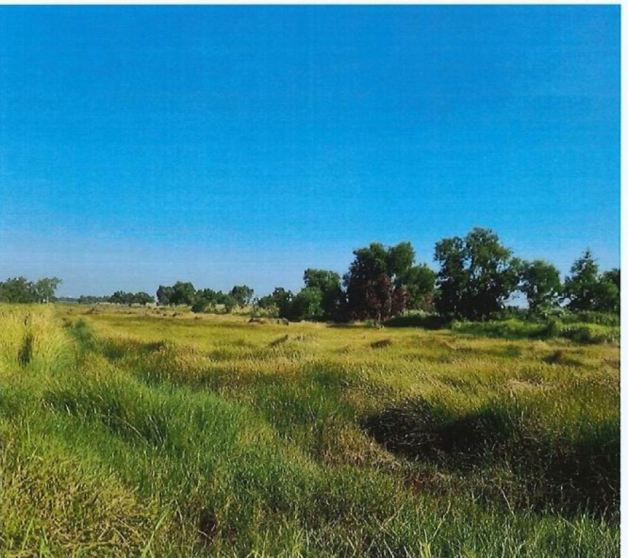 Residential land/lot Nakhon Nayok Ongkharak Sisa Krabue 2416800