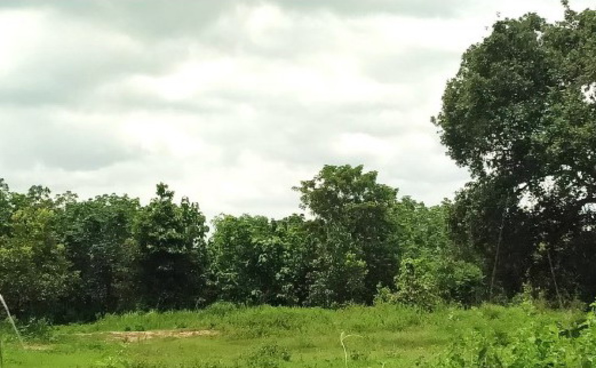 Residential land/lot Nakhon Phanom Na Kae Nong Sang 482100